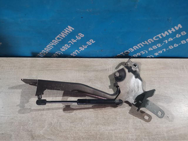 Петля капота, права 654010004R RENAULT