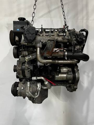 D22DTR Ssang Yong