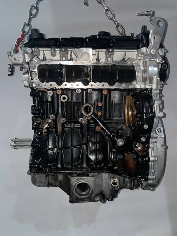OM651916 Mercedes