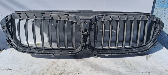 Облицювання радіатора 7497279 BMW