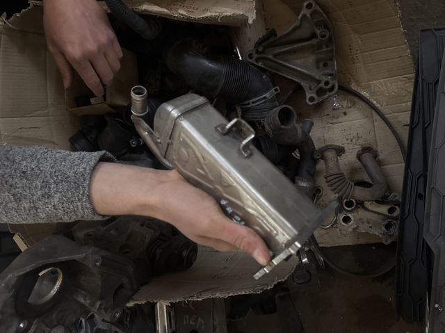 Радіатор системи рециркуляції ОГ 03L131512C VAG