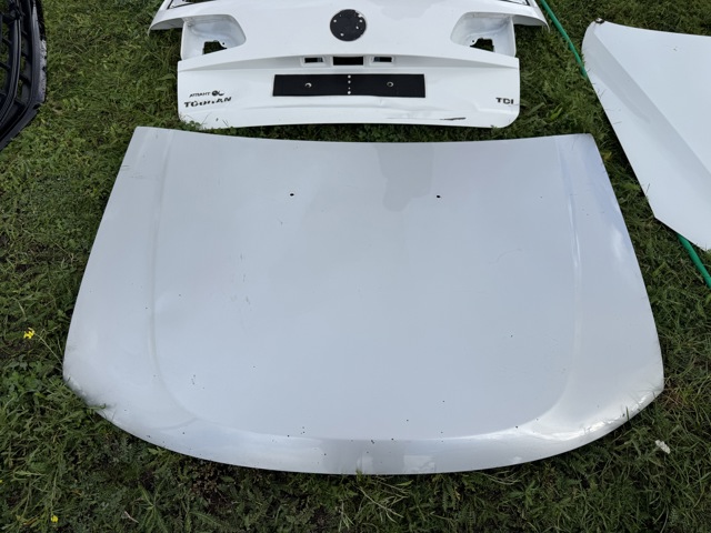 Капот 651000987R RENAULT