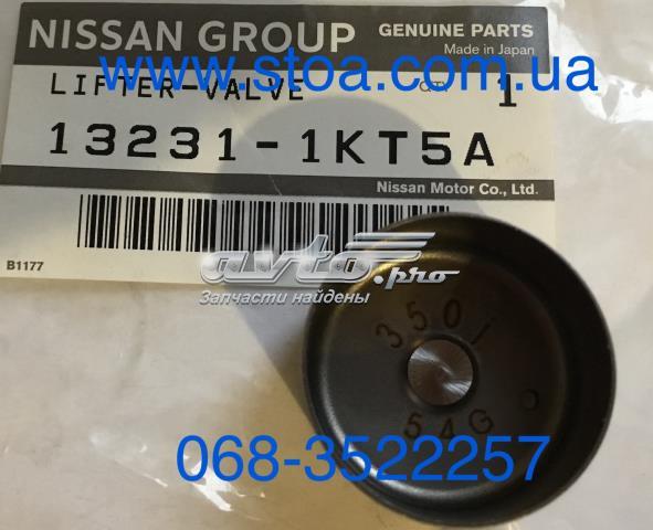 132311KT5A Nissan/Infiniti