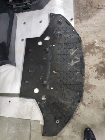 Кенгурятник 105637600C TESLA