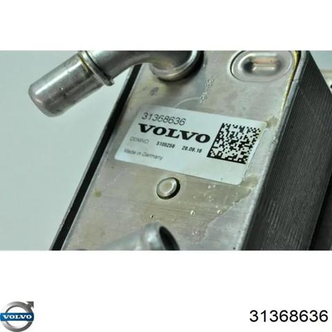 Масляний радіатор охолодження рідини АКПП 31368636 VOLVO