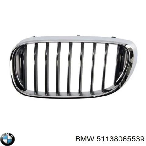 Облицювання радіатора 51138065539 BMW