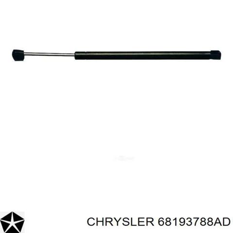 Амортизатор двері задньої 68193788AD CHRYSLER