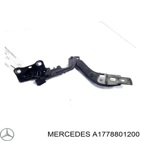 Петля капота, права A1778801200 MERCEDES