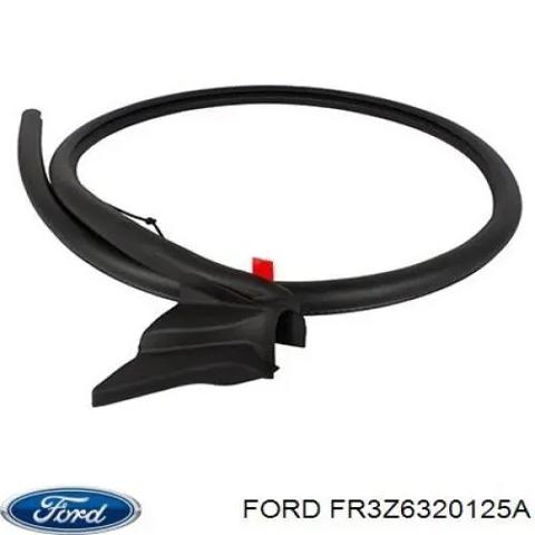 Двері передні, ліві FR3Z6320125A FORD
