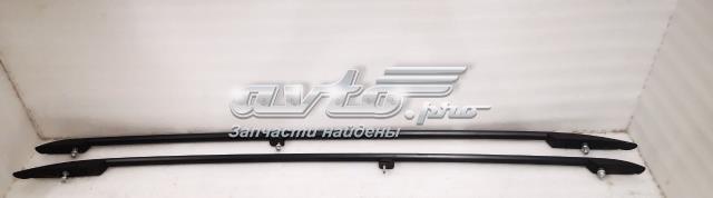 Автомобільний рейлінг на дах лівий 1T0860025H03C VAG