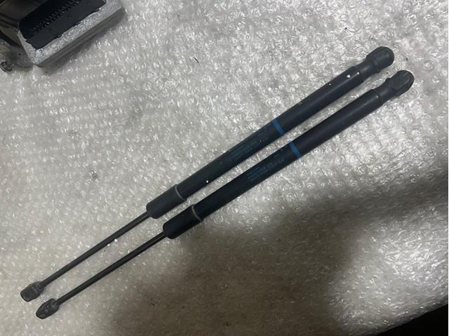 Амортизатор для багажника газовий 4G9827552B VAG