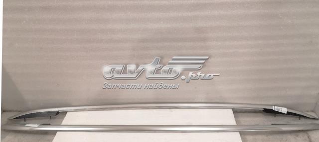 Рейлінг даху лівий 5G9860043D3Q7 VAG