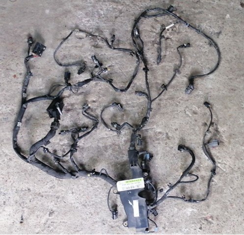 Електропроводка моторного віддсіка A2055401412 MERCEDES