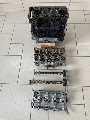 Двигун у зборі 06L100033C VAG