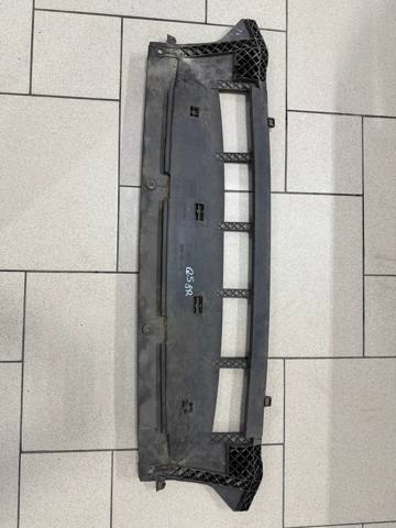 Кенгурятник 8R0807233C VAG