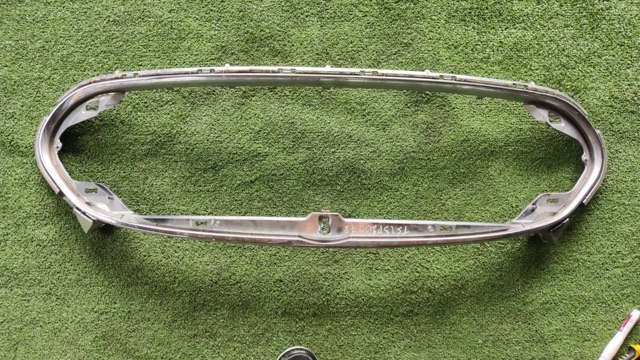 Рамка решітки переднього бампера 101741400D TESLA