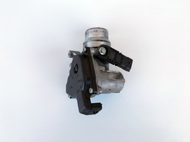Дросільна заслінка в зборі 161A09287R RENAULT