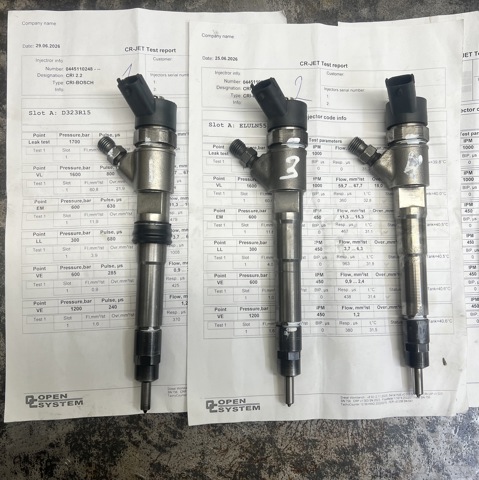 Форсунка інжектора 0445110248 IVECO