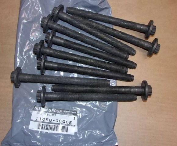 Болт кріплення головки блоку циліндрів 110560195R RENAULT