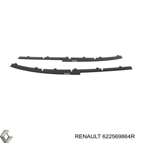 622569864R Renault (RVI)