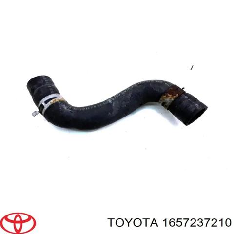 Шланг/патрубок радіатора охолодження, нижній 1657237210 TOYOTA