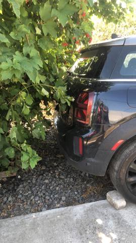 Бічна частина задні праві 41007449348 BMW