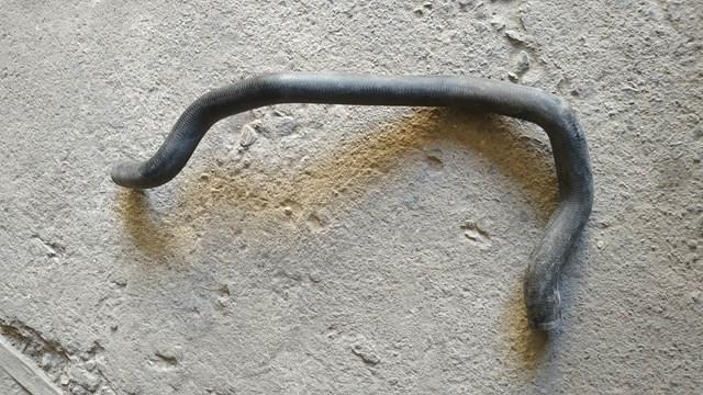 Водопровідна труба системи охолодження 64218391007 BMW