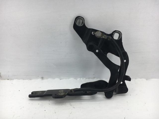 Завіс капота, лівий 41617210677 BMW