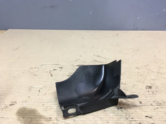 Захист заднього бампера 51128269746 BMW