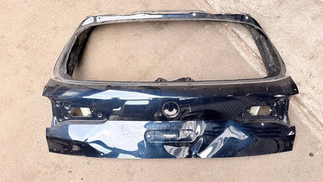 Двері багажника 41007931925 BMW