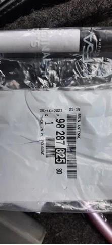 Шток антени 9828782580 PEUGEOT