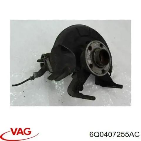 Цапфа поворотного кулака 6Q0407255AC VAG