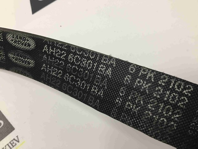 Ремінь приводний, агрегатів Mercedes C