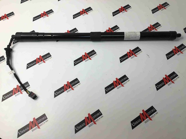 Амортизатор задньої ляди LR061667 LAND ROVER