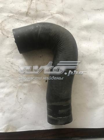 Шланг/патрубок радіатора охолодження, нижній 7L0819329A VAG