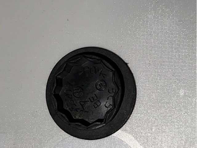 Заглушка гайки кріплення повідка переднього двірника 7L0955205C VAG