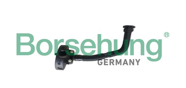 Клапан картерних газів B19055 BORSEHUNG