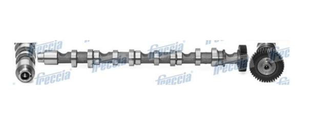 Шток двигуна, випускний CM052196 FRECCIA
