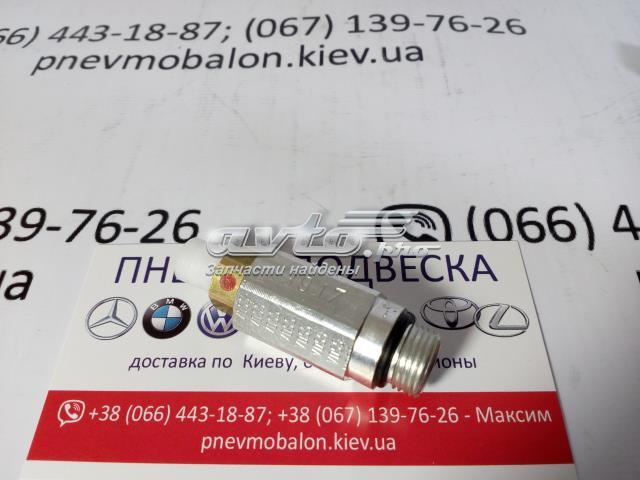 Клапан обмеження тиску пневмосистеми 95835872000 PORSCHE