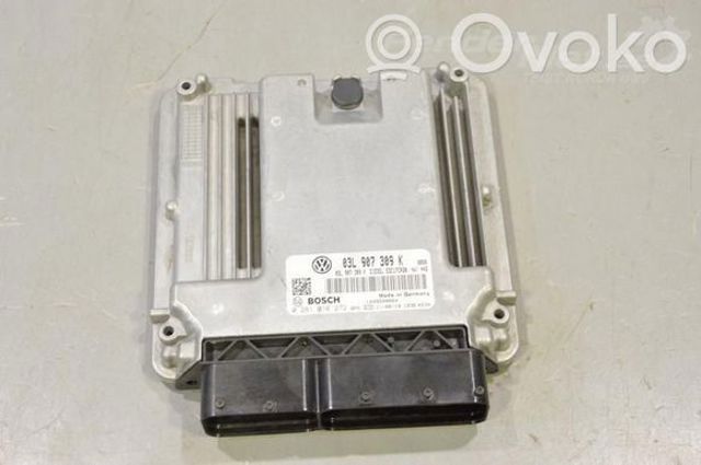 Блок двигуна 03L906022CD VAG