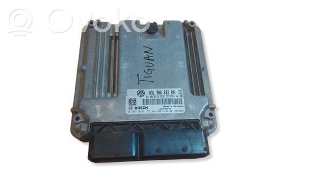 ЕБУ 03L906022RP VAG