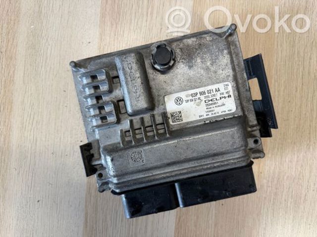 Мізки двигуна 03P906021AA VAG