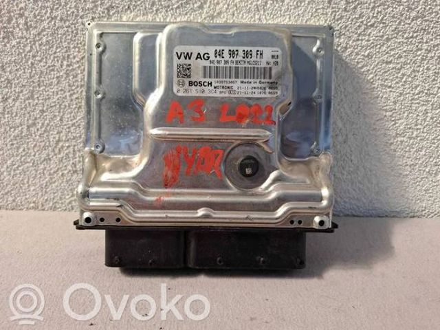 Мізки двигуна 04E907309FH VAG