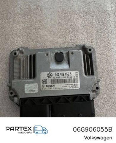Мізки двигуна 06G906055B VAG