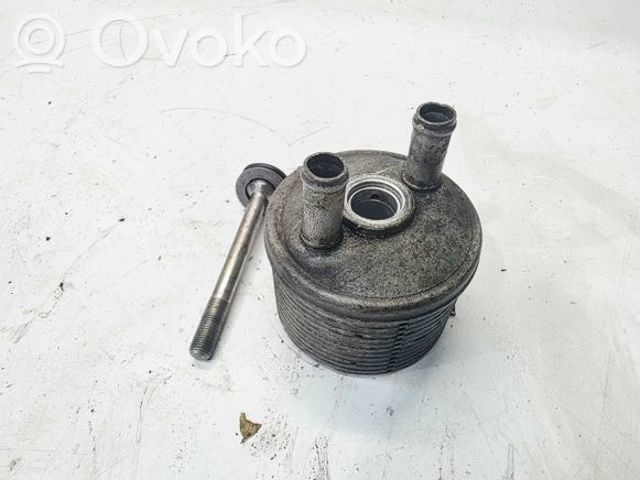 Радіатор охолодження, АКПП 09A317019 VAG
