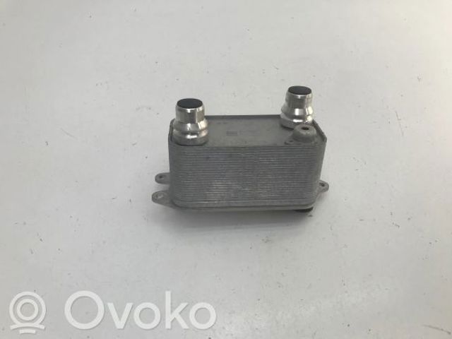 Радіатор масляний 109621500C TESLA
