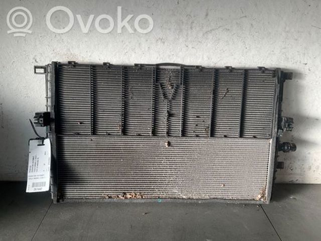 Радіатор основний 160781100B TESLA