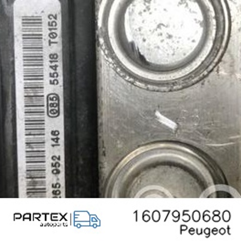 1607950680 Peugeot/Citroen
