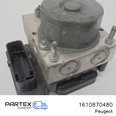 1610870480 Peugeot/Citroen