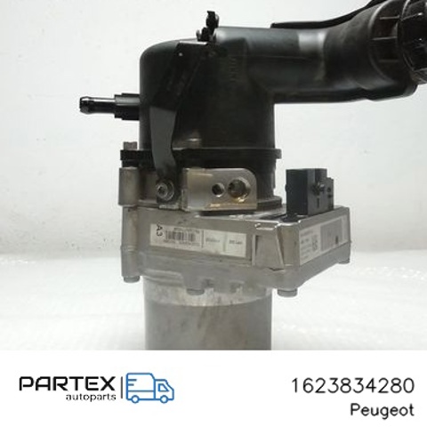 1623834280 Peugeot/Citroen